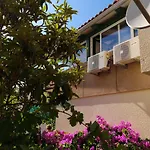 Dolac Apartment