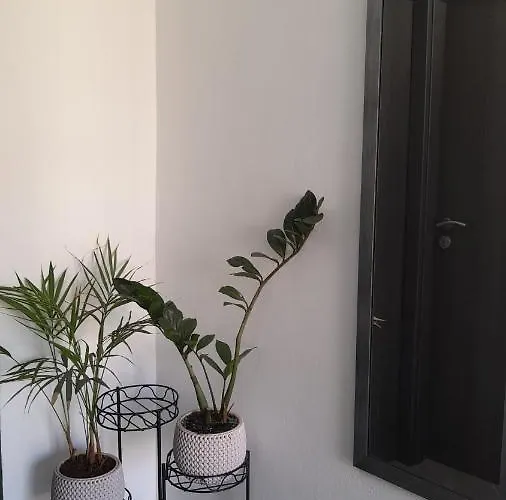 דירה Dolac פרימוסטן